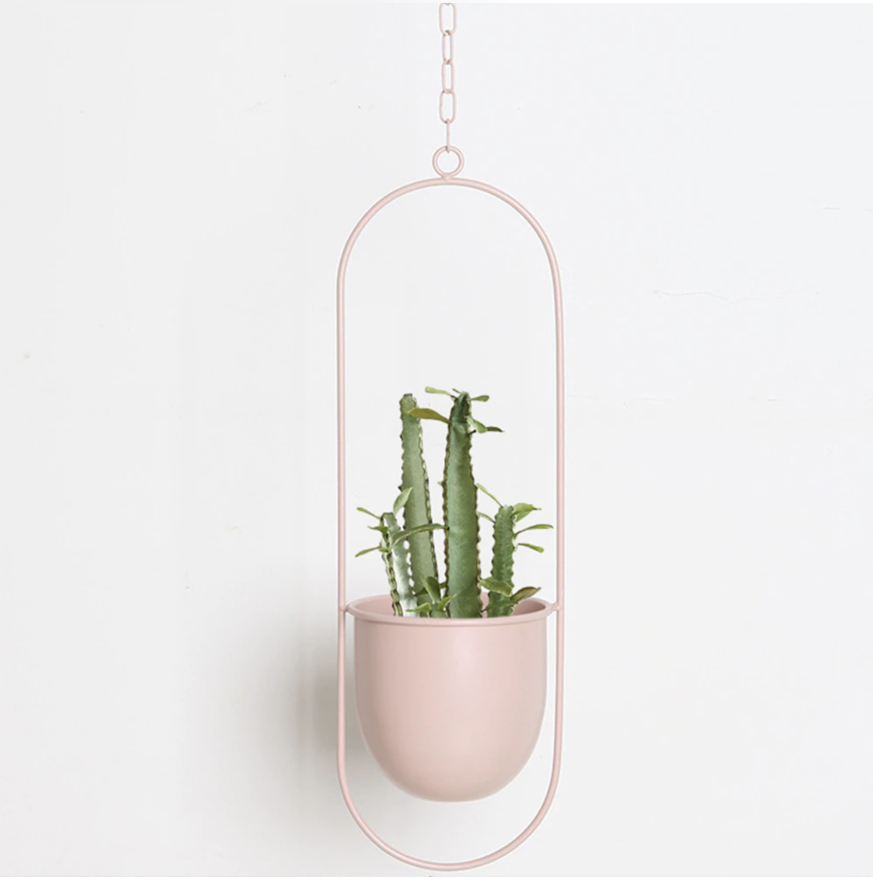 Eleganckie zawieszenie roślin w minimalistycznym stylu!