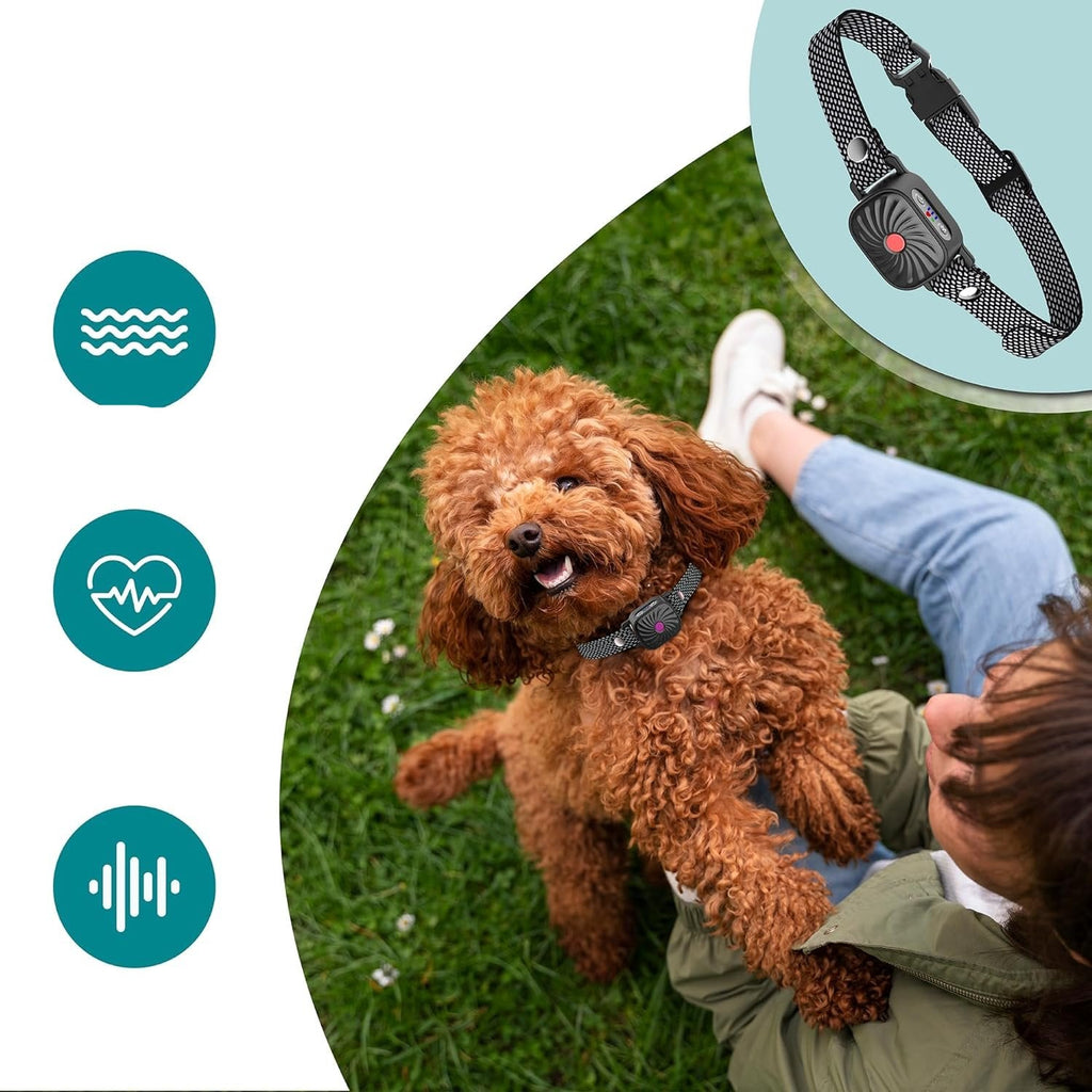 QuietPaw | Obroża Anty-Szczekająca dla Spokoju i Komfortu
