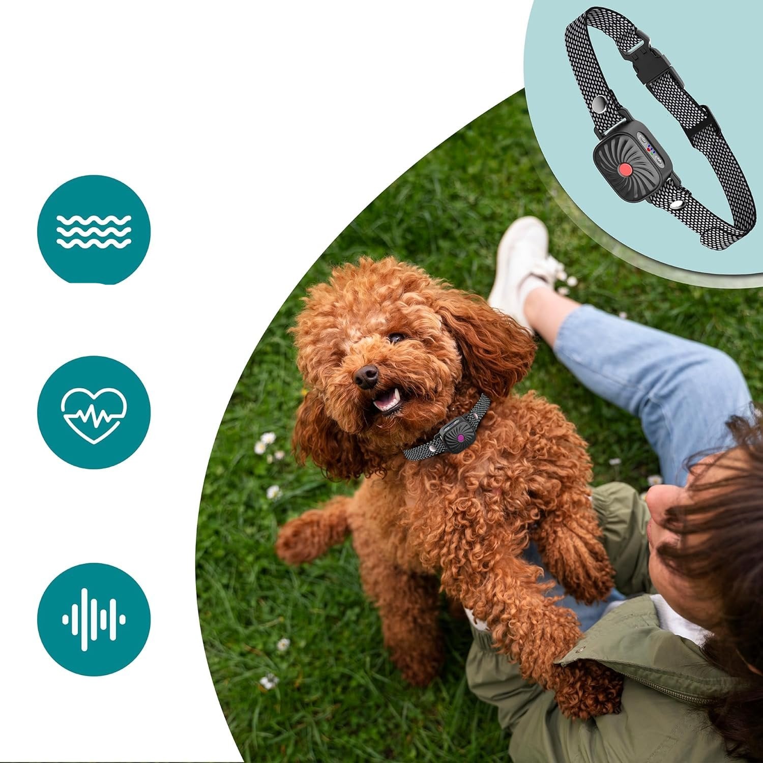 QuietPaw | Obroża Anty-Szczekająca dla Spokoju i Komfortu
