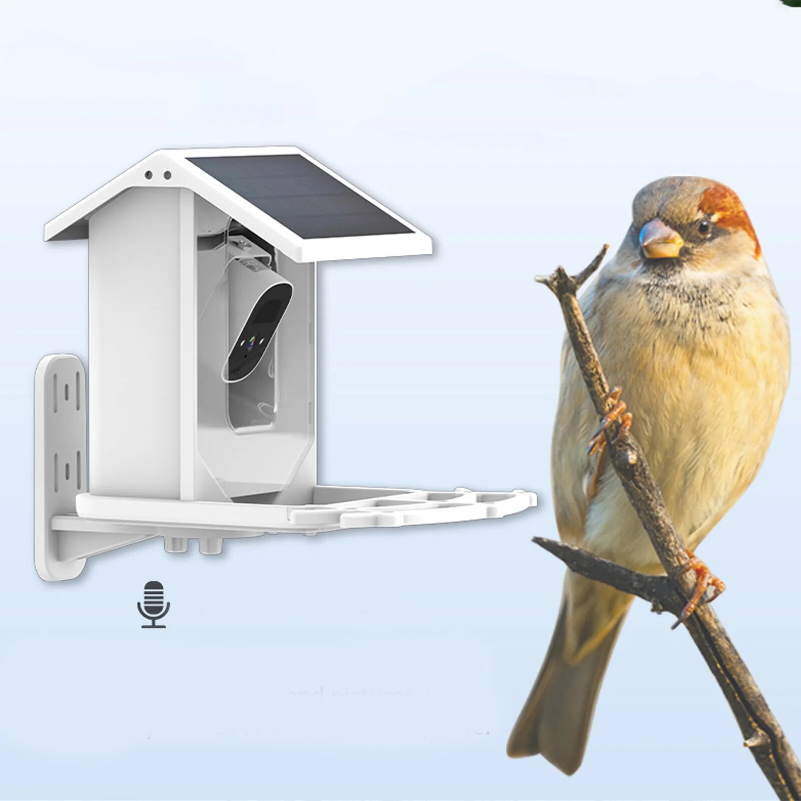 BirdWatch Zaawansowany Karmnik - Identyfikacja Ponad 16.000 Gatunków Ptaków - Zasilany Energą Słoneczną
