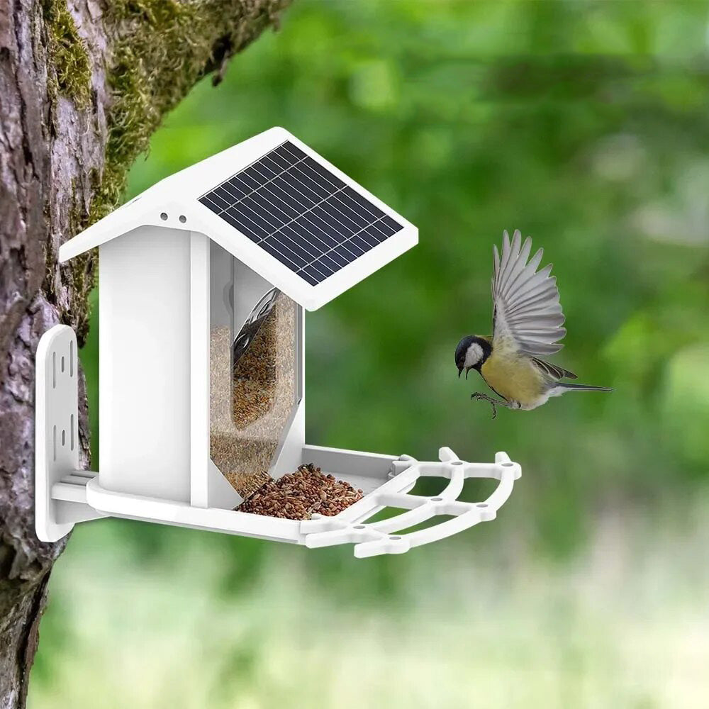 BirdWatch Zaawansowany Karmnik - Identyfikacja Ponad 16.000 Gatunków Ptaków - Zasilany Energą Słoneczną