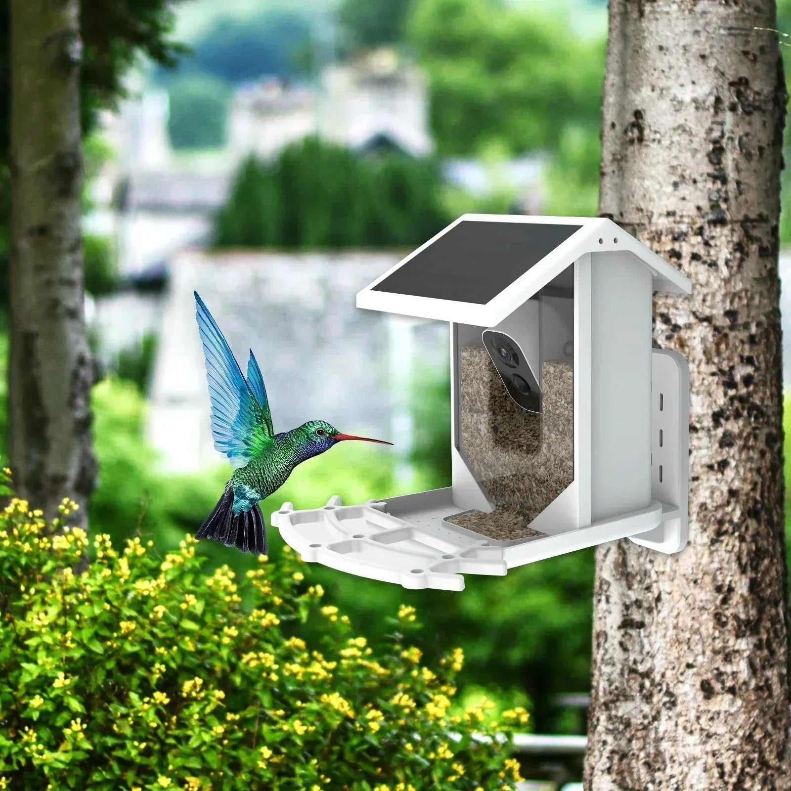 BirdWatch Zaawansowany Karmnik - Identyfikacja Ponad 16.000 Gatunków Ptaków - Zasilany Energą Słoneczną