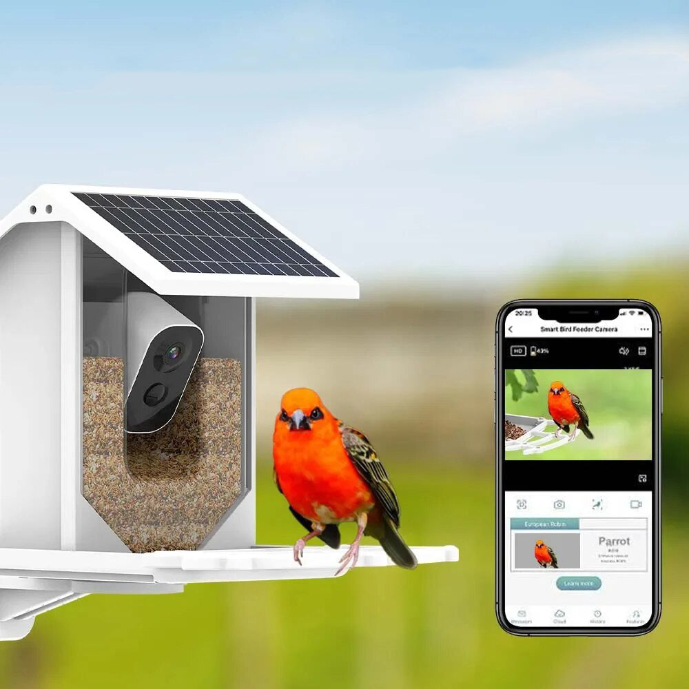 BirdWatch Zaawansowany Karmnik - Identyfikacja Ponad 16.000 Gatunków Ptaków - Zasilany Energą Słoneczną