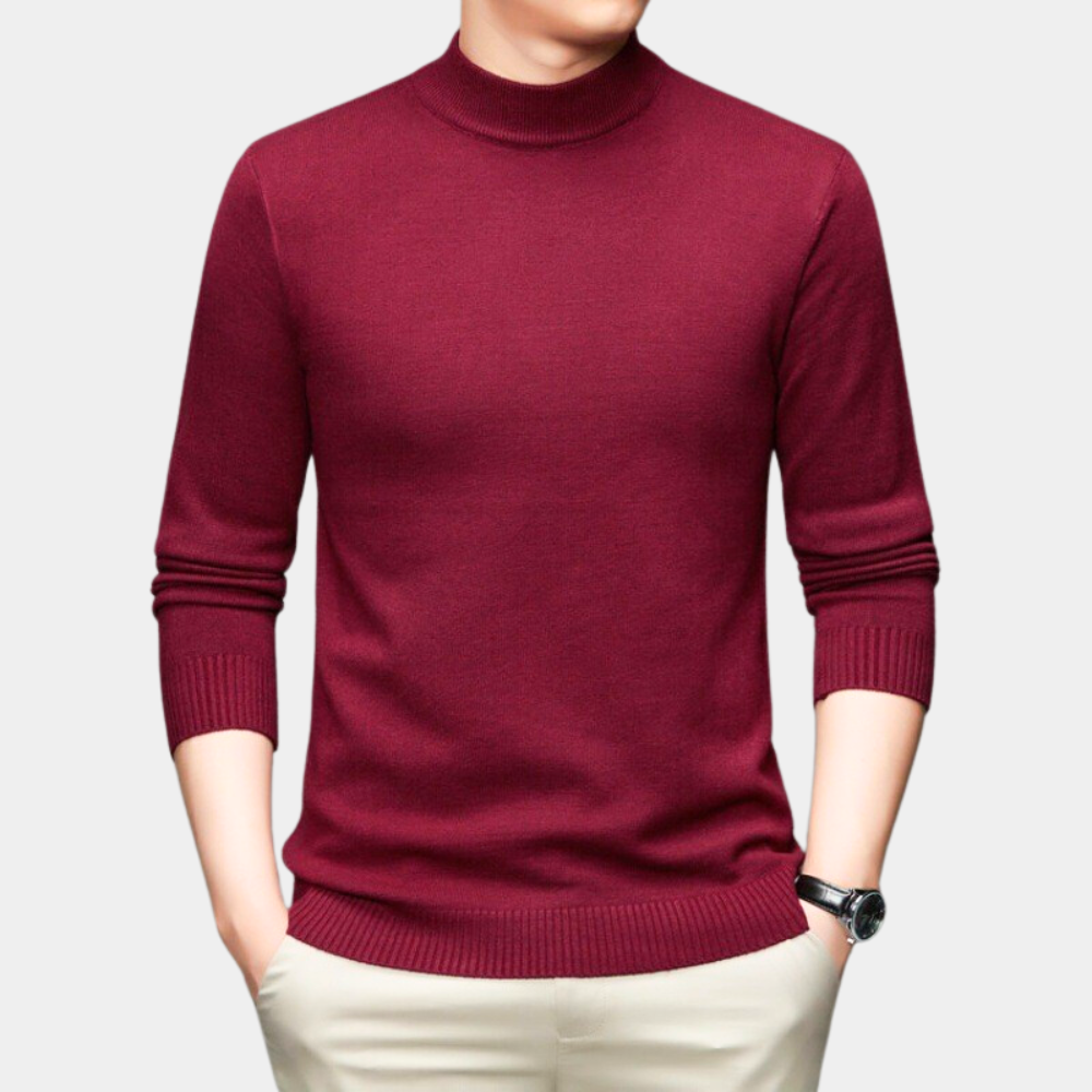 TERENCE - Casual Sweater with High Collar