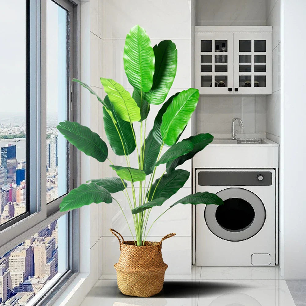 Tropikalny Urok przez Cały Rok