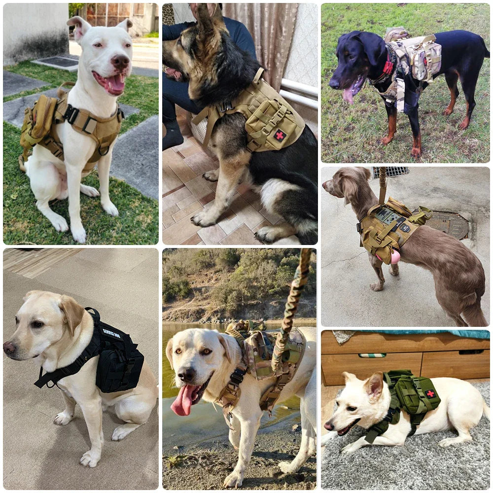 GuardPaw | Taktyczna Szelka i Zestaw Smyczy dla Psów