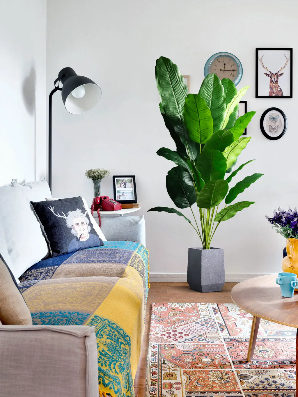 Tropikalny Urok przez Cały Rok