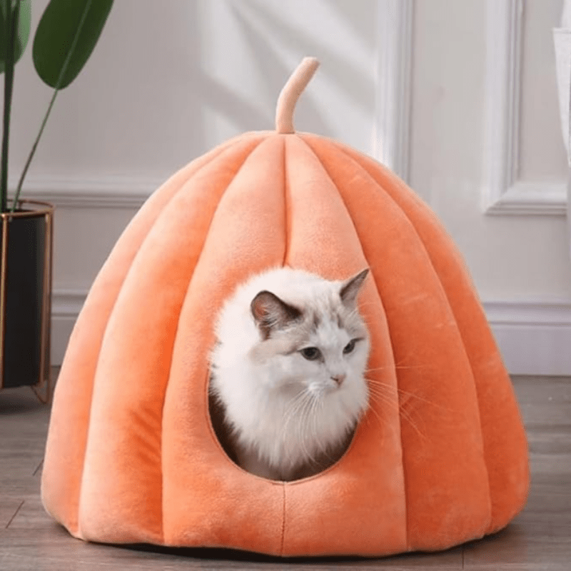 PumpkinPaws | Ciepłe i Przytulne Łóżko dla Kota na Zimowe Dni