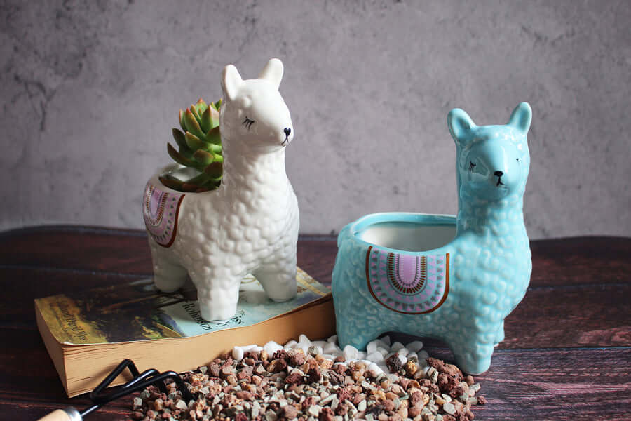 Alpaka Ceramiczne Doniczki do Twoich Roślin