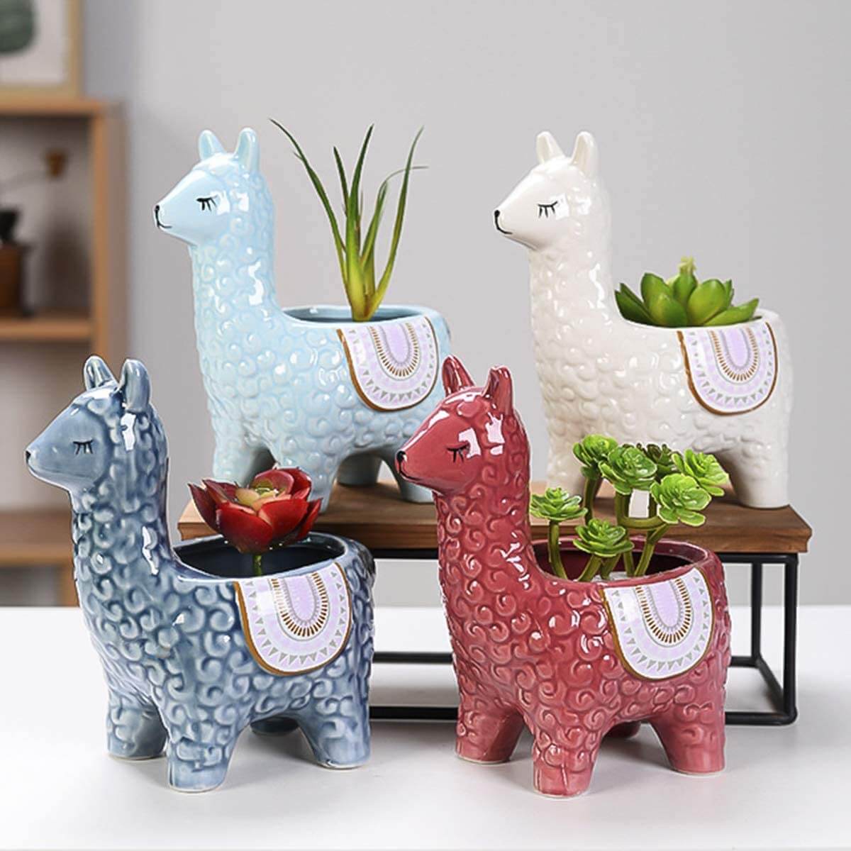 Alpaka Ceramiczne Doniczki do Twoich Roślin