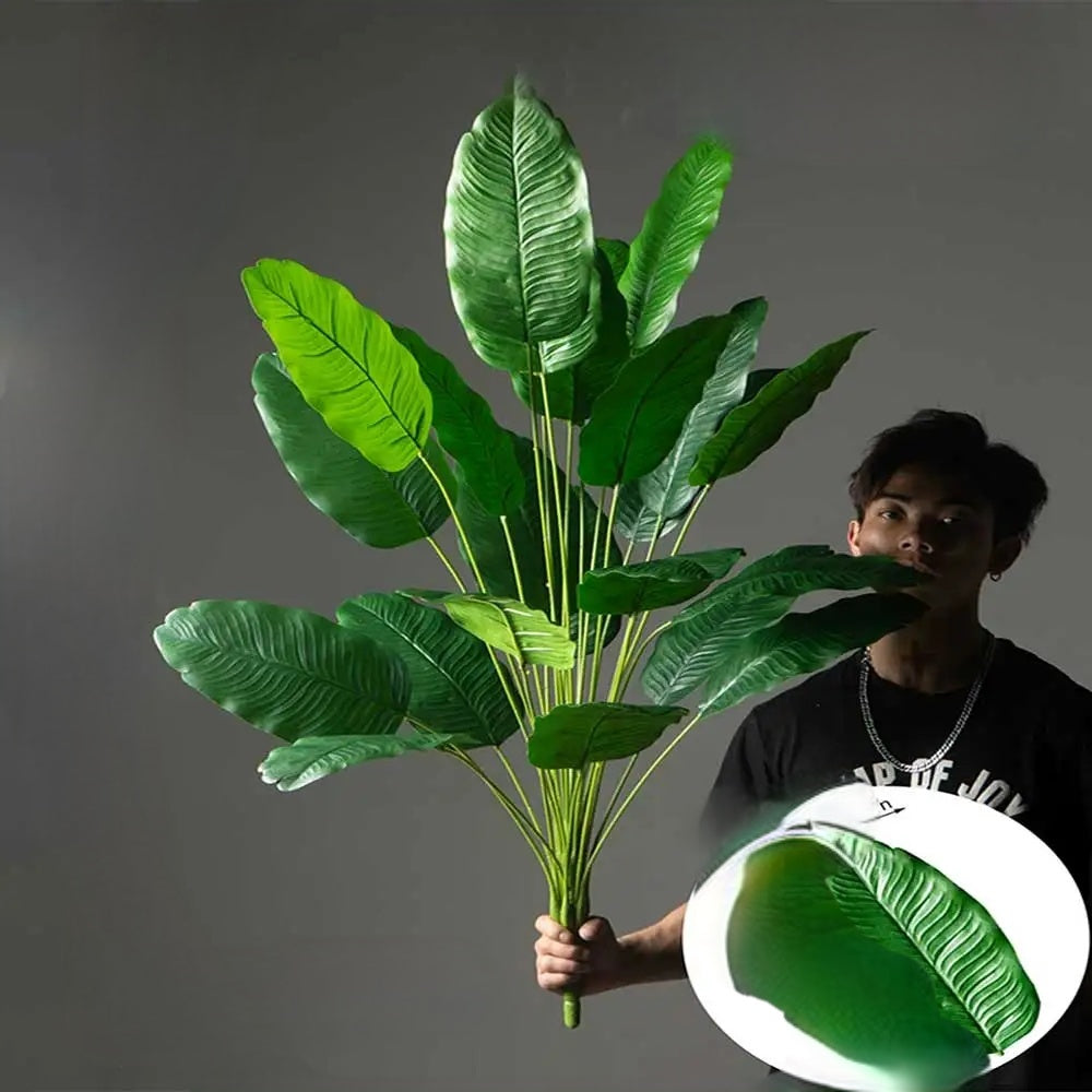 Tropikalny Urok przez Cały Rok