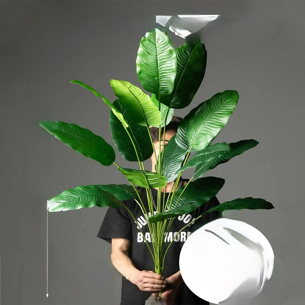 Tropikalny Urok przez Cały Rok