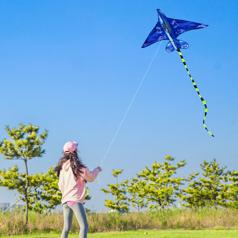 SkyJet | Kites