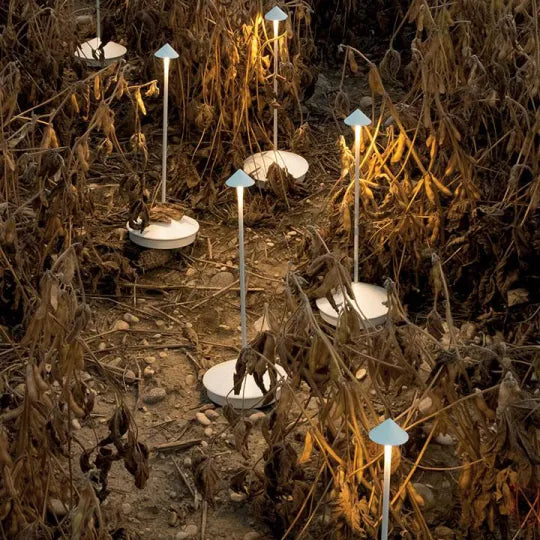 Bezprzewodowa lampa LED na stół | ClarityGlow