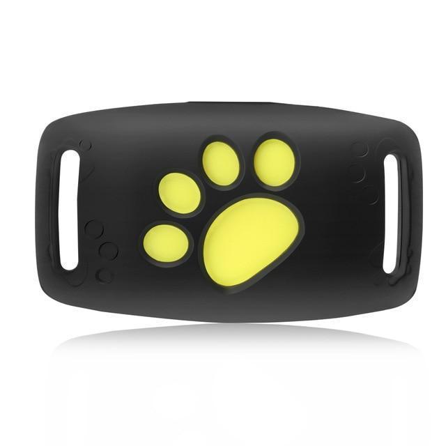 TrackCat | System GPS do Śledzenia Kotów z Aktualizacjami w Czasie Rzeczywistym