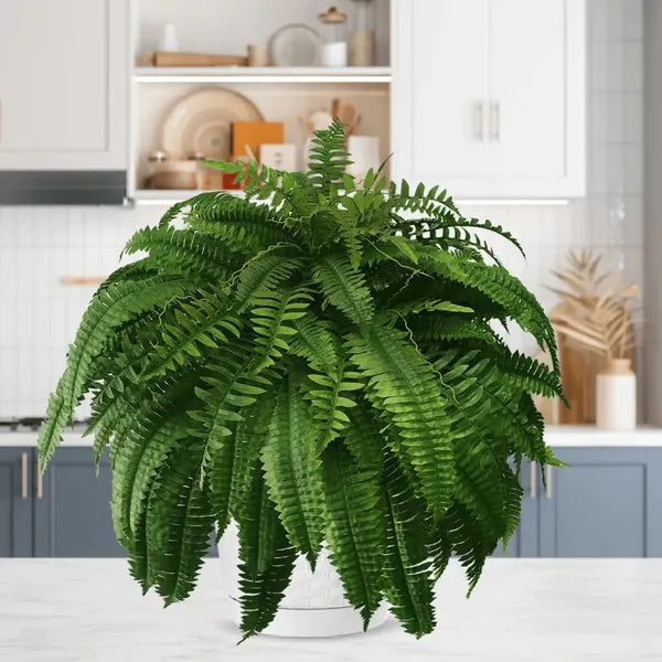 Kup jeden, drugi gratis | Realistyczna, odporna na promieniowanie UV sztuczna roślina Boston Fern